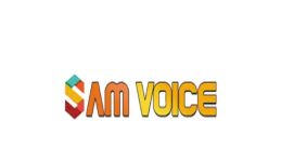Sam voice