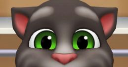 Talking Tom (Talking Tom & Friends)