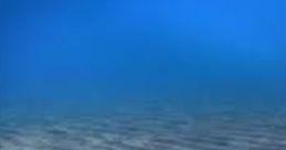 Tranquil underwater scene showcasing fine sand patterns and a vibrant blue backdrop, ideal for inspiring peaceful reflections.