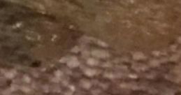 Close-up of a rug with an angry expression from a character named Lilly, showcasing texture and warm tones.
