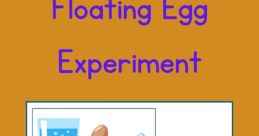 Experiment