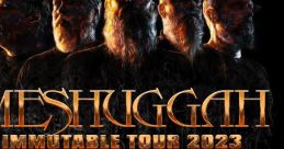 Meshuggah