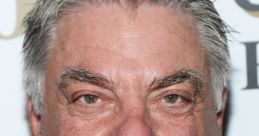 Portrait of Bruce McGill, an acclaimed actor known for his memorable roles in film and television, showcasing a confident expression.