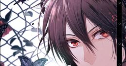 Amnesia Later x Crowd V[Vita]. Edition アムネシア レイター×クラウド ブイ エディション - Video Game Video game from