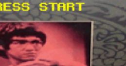 Bruce Lee (Homebrew) - Video Game
