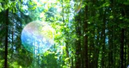 Lakeside Forest - Junya Nakano - Video Game