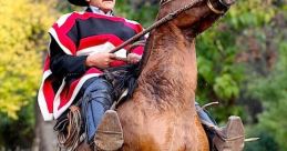 Huaso Chile