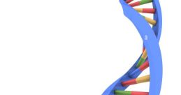 Gene