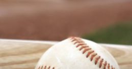 Classic baseball and bat resting on grass, perfect for DYB Press Box's baseball-themed content. Ideal for sports enthusiasts.