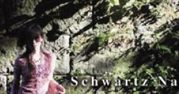 Schwartz Nacht - kirche Pizzicato Polka: Suisei Genya - Video Game