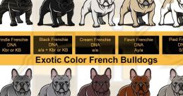 Fr-CA-Standard-B - French Male Type your text and hear it in the voice of Fr-CA-Standard-B - French Male.