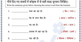 Mr-IN-Standard-B - Hindi Male