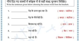 Mr-IN-Wavenet-B - Hindi Male