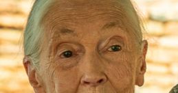 Jane Goodall