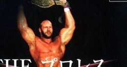 Simple 1500 Series Vol. 22: The Pro Wrestling - Video Game