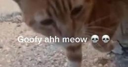 Goofy Ahhs Memey Bogus With the fungus