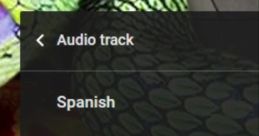 Youtube Audio Track English