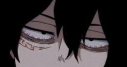 Shoto Aizawa (Junichi Suwabe, 🍚Japanesse 🍚)