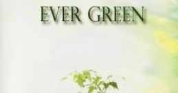 Ever Green Tatshcircle - Video Game Video game from Ever Green Tatshcircle. Published by TatshCircle (2011).