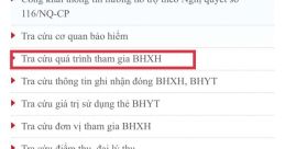 H N N Bb. Bh. Xh