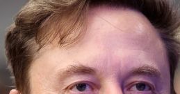 Elon Musk (News)