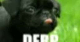 Derp (Fixed) Tapps Games