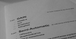 GAIN - Semi-Automatic - Video Game