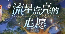 Infinity Nikki: A Wish Upon a Shooting Star 无限暖暖——流星点亮的心愿 Wu Xian Nuan Nuan——Liu Xing Dian Liang De Xin Yuan -