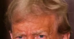 Donald Trump expressing anger, with a stern facial expression and emphasis on his signature hairstyle in a formal setting.