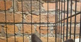 Squeak (Scratch)