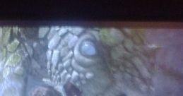 Hiccup And Toothless