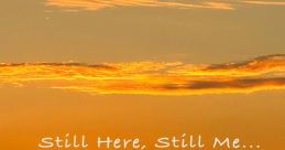 Still Here, Still Me... - Koichi Namiki SEGA Rally Championship (Arcade) - Video Game Video game from Still Here, Still