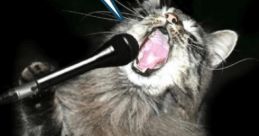 Kittyman's Song Generator