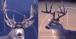 Cabela's Big Game Hunter Cabela's Big Game Hunter : The Next Evolution of Hunting; Cabela's Big Game Hunter 6 - Video Game