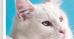 Mastercat