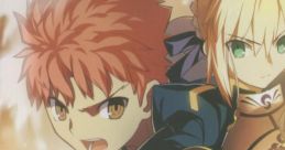 ARCADIA - earthmind [Limited Edition] Fate-stay night [Réalta Nua] - Video Game