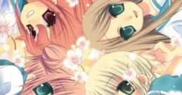 Hokenshitsu he Youkoso 保健室へようこそ - Video Game Video game from Hokenshitsu he Youkoso 保健室へようこそ for PS2. Publi