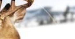 Cabela's Hunting Expeditions - Video Game Video game from Cabela's Hunting Expeditions for PS3, Wii, Windows, Xbox 360.