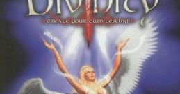 Divine Divinity - Video Game