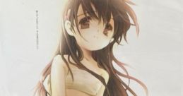 Narcissu ナルキッソス - Video Game