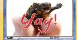 Super yay H