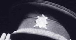 Lost Home Movies of Nazi Germany (2019)