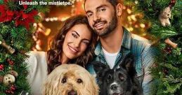 Happy Howlidays (2024) Mia (Lowndes), a meticulous webpage editor for the Seattle Tourism Board, finds herself unexpectedly