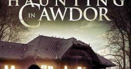 A Haunting in Cawdor (2015) While serving her prison sentence, a woman discovers a horrifying VHS tape with footage from a