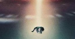 The Manhattan Alien Abduction (2024)