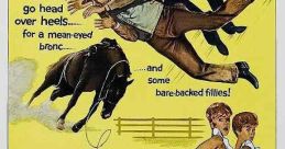 The Rounders (1965)