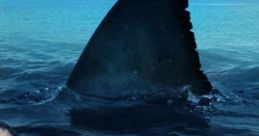 The Reef (2010)