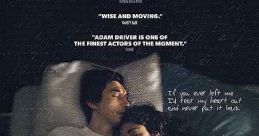 Paterson (2016) A week in the life of Paterson, a poet bus driver, and his wife Laura, a very creative artist, who live in
