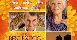 The Best Exotic Marigold Hotel (2011)