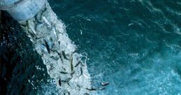 Artifishal (2019) Narratives of ecologists and conservationists are pitted against the human tendency to engineer and control
